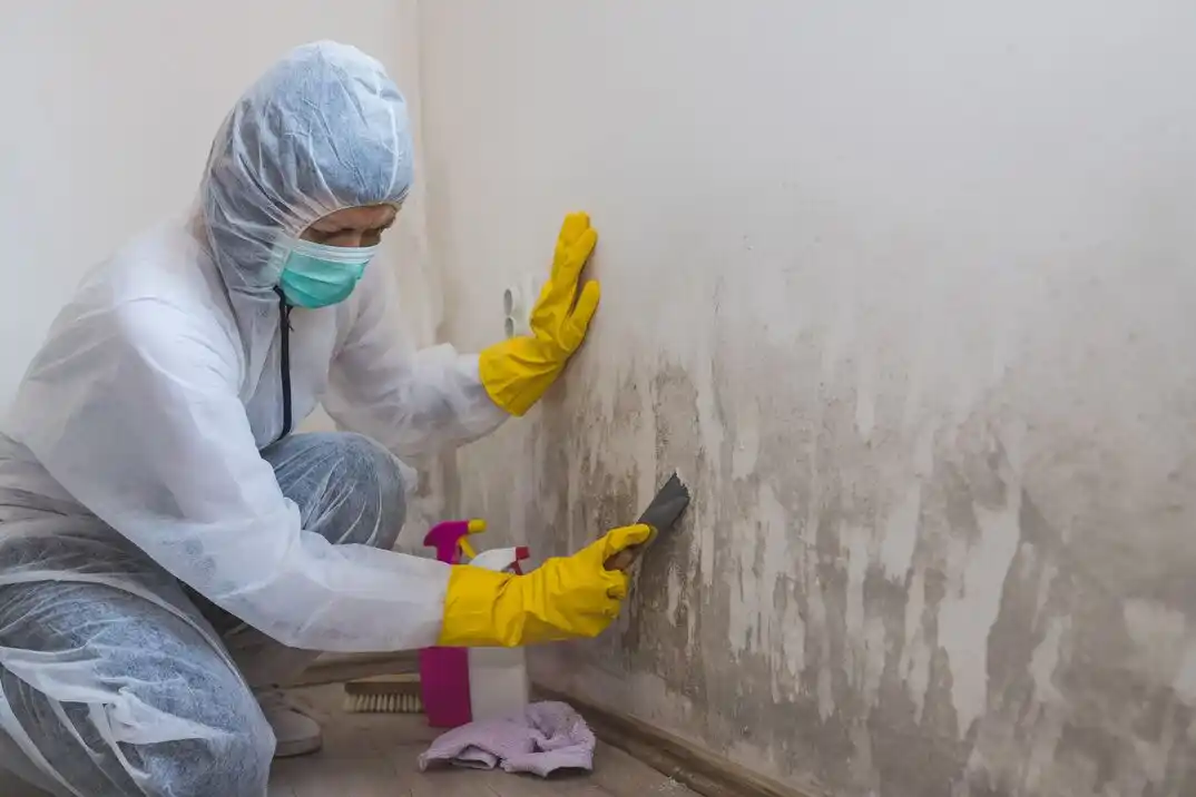 water damage restoration service Delavan Lake